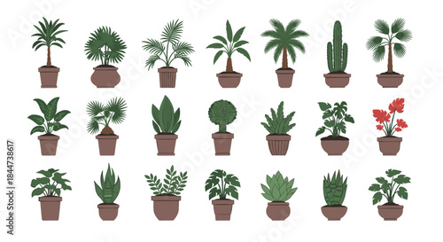 Extensive collection of various indoor houseplants in brown pots including different types of palms succulents and leafy plants.
