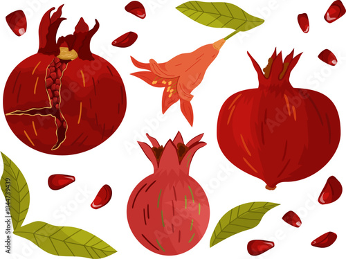 A collection of pomegranates in various stages — whole, cracked, blooming flower, and scattered seeds. This colorful set is ideal for food-themed illustrations, recipe cards, packaging.