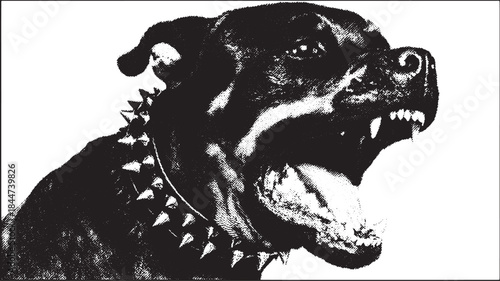 Aggressive dog breed illustration in black silhouette. Fierce expression highlights strength in this vector illustration.