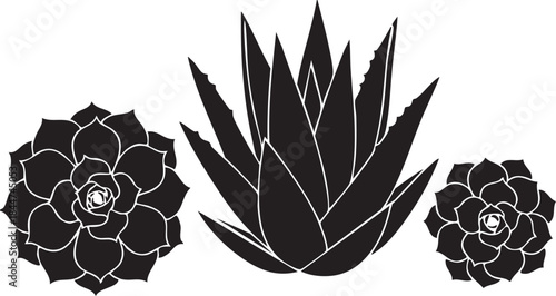 Succulent Plants Geometric Rosettes Silhouettes isolated on white background