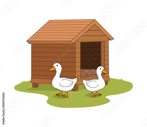 Cartoon Ducks Near Wooden Duck House Farm Animal Illustration. 
