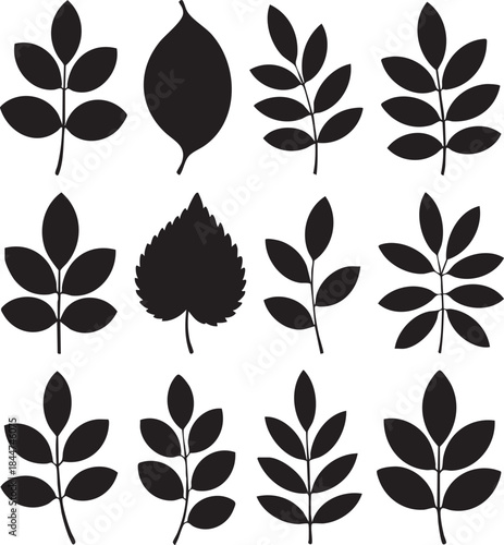 Black silhouettes of various leaf types set