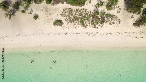 Bahía de las Águilas es una playa virgen en la República Dominicana, reconocida por sus aguas cristalinas, arena blanca y paisajes impresionantes, considerada por muchos como un paraíso natural.