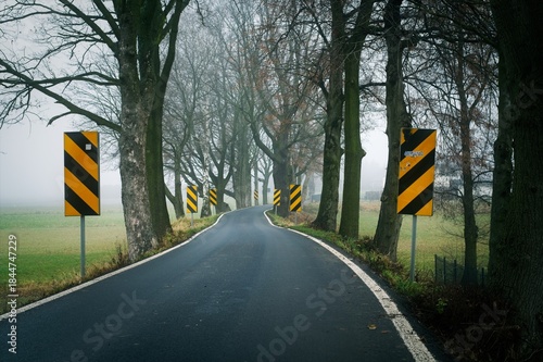 Wallpaper Mural Misty autumn morning on a rural country road. Tall leafless trees with mistletoe balls form a natural tunnel over the wet asphalt. A mysterious, melancholic, and moody landscape in the fog. Torontodigital.ca