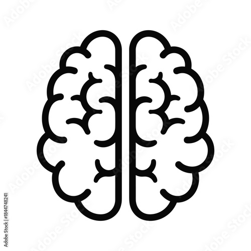 Human brain illustration on white background