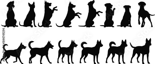 Collection of domestic dog animal silhouettes in various poses, including sitting, standing, and begging, vector illustration set for pet adoption, training, and veterinary design projects.