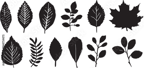 Set of black leaf silhouettes. Simple botanical vector illustration showcasing various foliage shapes on a white background.