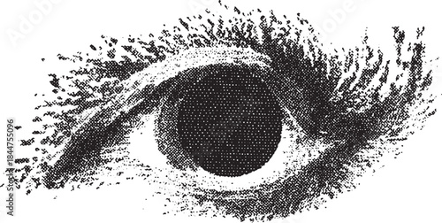 Eye vector illustration with detailed black and white design. The graphic features unique texture and shape in a simple, flat style.