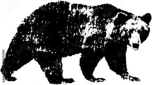 Black bear silhouette in flat style. Simple vector illustration of wildlife in a nature setting, presented as a graphic set.