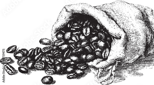 Coffee beans spilling from a bag. Detailed black and white vector illustration showcasing the art of brewing and the culture surrounding coffee.