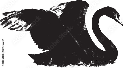 Black swan vector illustration in a minimalist style. This elegant design features simple lines, perfect for decorative uses as a set.