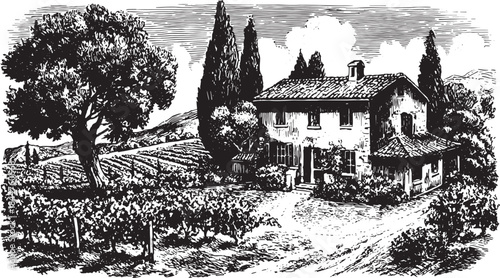 Rustic farmhouse hand-drawn illustration with a detailed landscape. Features trees and a vineyard, this black and white vector illustration captures rural living.