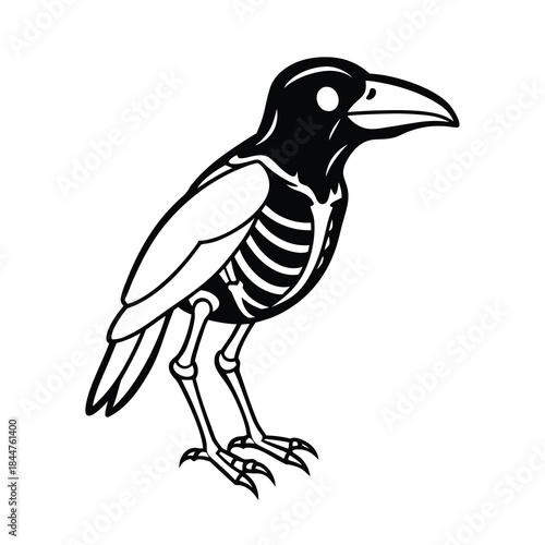 crow skeleton