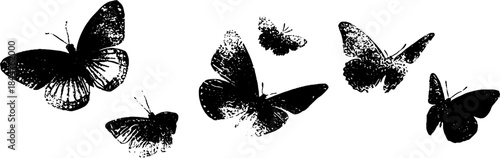 Black and white stencil illustration of fluttering butterflies for creative design