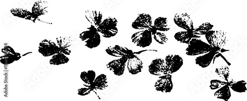 Black and white stencil illustration of fluttering petals in motion