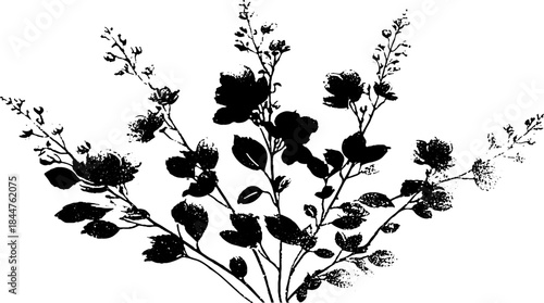 Black and white stencil art of blooming flowers for botanical design