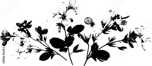 Black and white floral stencil illustration for urban art and design