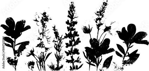 Black and white stencil of floral cluster for design and decoration