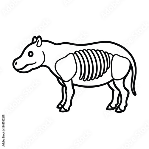 hippopotamus skeleton