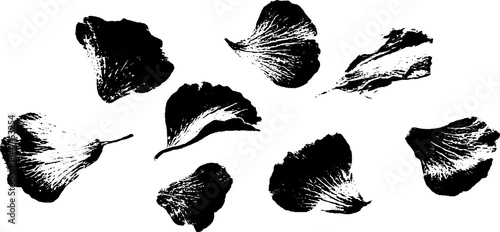 Black and white stencil illustration of scattered petal shapes for artistic design