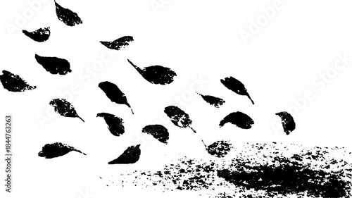Black and white stencil illustration of scattered petal shapes in motion