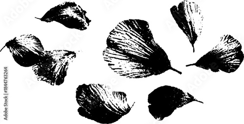 Black and white stencil art of scattered petal shapes for creative design projects