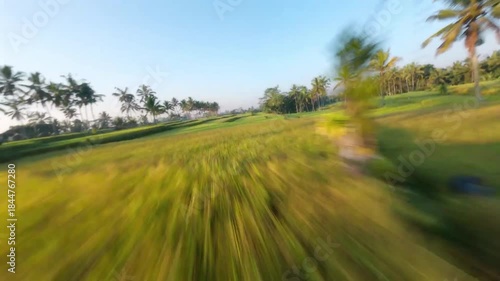 High-speed FPV drone flight through a Balinese rice feld.