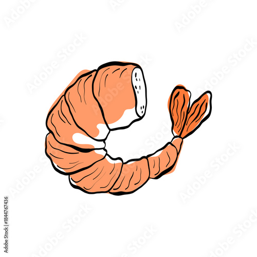 Shrimp illustration in clean line art with bright color accents, perfect for seafood menus, packaging, coastal cuisine projects and gourmet branding elements