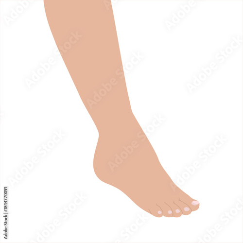 Female bare foot. Human Ankle Joint Foot Illustration. Sole of the female foot. Beauti feet with perfect spa nail pedicure. Anatomy of human legs. Podiatry, health and SPA procedures. Flat vector