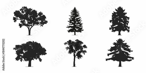 Silhouettes of various tree types a collection of forest flora