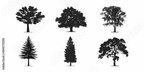 Silhouette collection of varied tree types against a plain white background