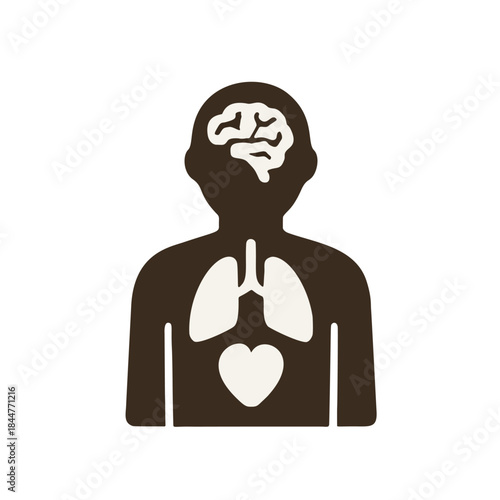 Icon "Body Neutrality" - A human silhouette focusing on functional parts (heart, lungs, brain), not shape.