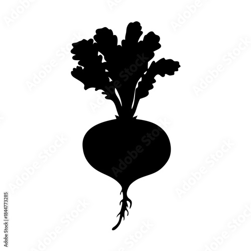 Black silhouette of a fresh beet vegetable with leaves and root on a white background