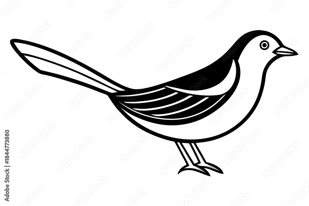 Fototapeta premium Miralune bird line art white background