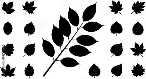 Branch leaves silhouette, Leaf silhouettes, Leaves silhouette, Decorative autumn leaf silhouettes, Branch leaves, Leaf, Leaf icon