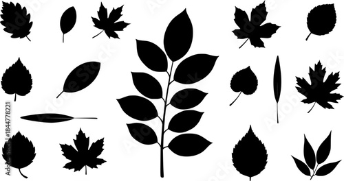Branch leaves silhouette, Leaf silhouettes, Leaves silhouette, Decorative autumn leaf silhouettes, Branch leaves, Leaf, Leaf icon