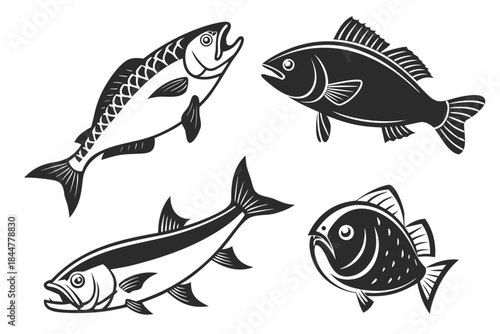 Empty vector file display