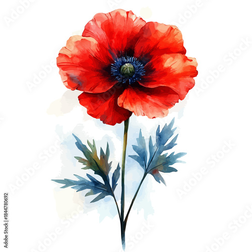 Papaver Flower, vibrant watercolor vector, isolated on a white background, high quality and detailed design.