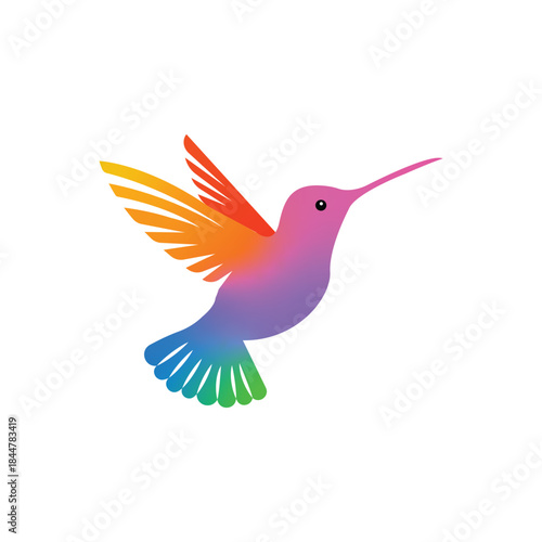 Humming Bird Logo Design