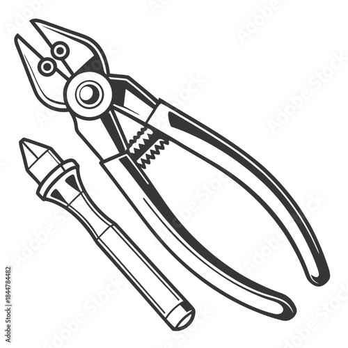 Placeholder image display