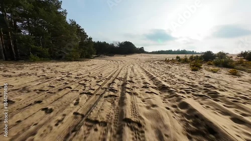 Sand Road Surfing