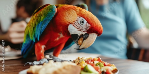 Vibrant Macaw Parrot Enjoying a Meal at a Caf