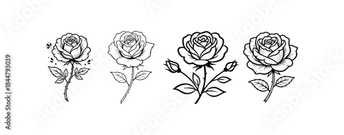Black and White Rose Floral Sketch