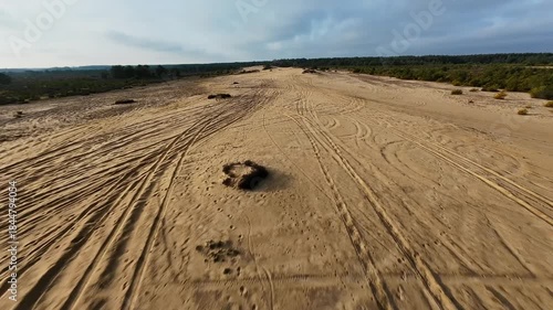 Trees Sand Dune Surfing 