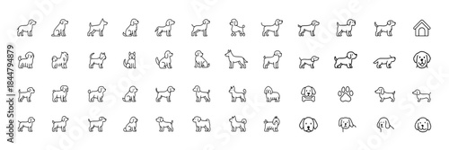 Dog breed vector line icon collection featuring labrador, golden retriever, german shepherd, beagle, bulldog, poodle, dachshund, pug, shih tzu, maltese and yorkshire terrier thin linear illustration
