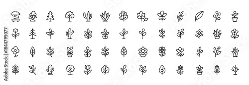 Plants Line Icons, Bonsai, Trees, Forest, Cactus, Aloe, Monstera, Maple Leaf, Succulents, Minimal Linear Pictograms for Nature, Garden, Greenery, Botany, Flora, Organic Design, Tropical Elements