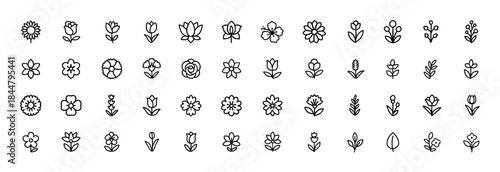 Botanical flower icon set, black glyph silhouette pictograms of rose, sunflower, tulip, daisy, lotus, lily, hibiscus, cherry blossom, peony, floral garden nature vector illustration, spring flora