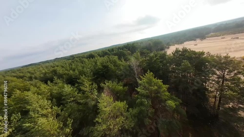 Trees Sand Dune Surfing 