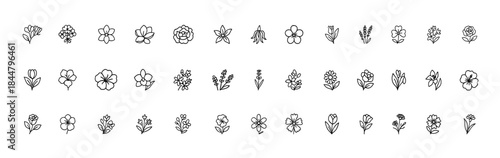 Cosmetic Flower Line Icon Set, Thin Linear Vector Pictograms of Botanical Blooms Including Jasmine, Calendula, Peony, Neroli, Magnolia, Freesia, Herbal Floral Illustration, Beauty Icons