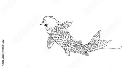 Elegant Line Drawing of a Traditional Koi Fish with Flowing Tail and Detailed Scales